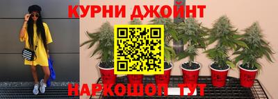 дурь Пугачёв